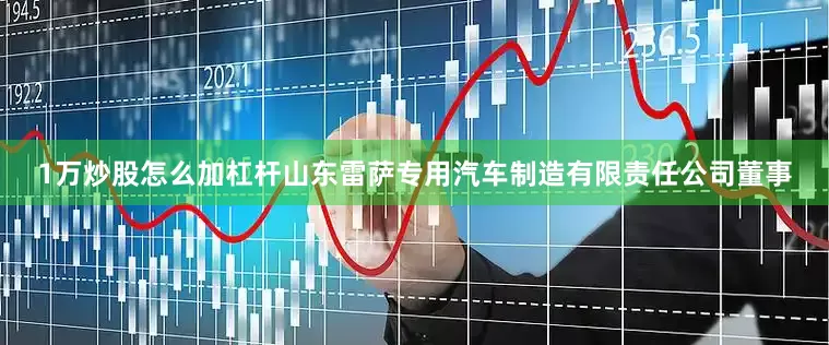 1万炒股怎么加杠杆山东雷萨专用汽车制造有限责任公司董事