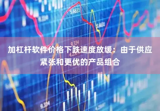 加杠杆软件价格下跌速度放缓：由于供应紧张和更优的产品组合