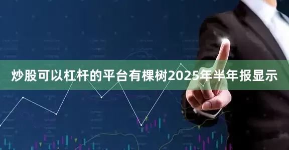 炒股可以杠杆的平台　　有棵树2025年半年报显示