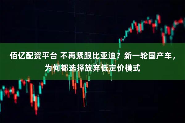 佰亿配资平台 不再紧跟比亚迪？新一轮国产车，为何都选择放弃低定价模式