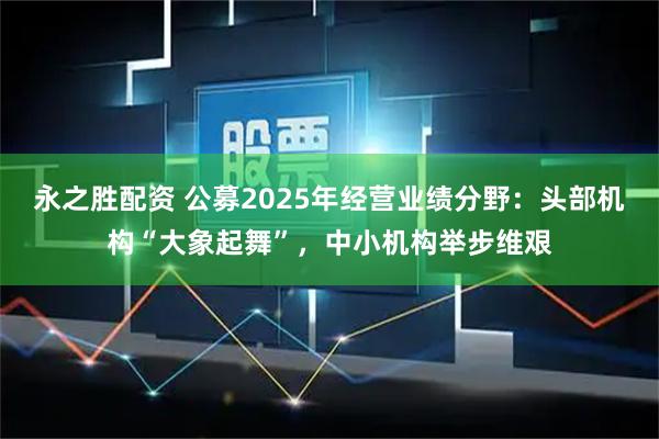 永之胜配资 公募2025年经营业绩分野：头部机构“大象起舞”，中小机构举步维艰